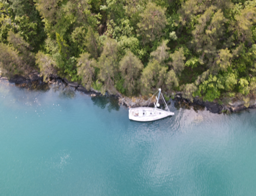 Newsletter June 2025